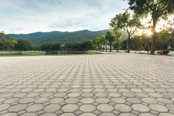 Best Professional Driveway Pavers  in Lavallette, NJ